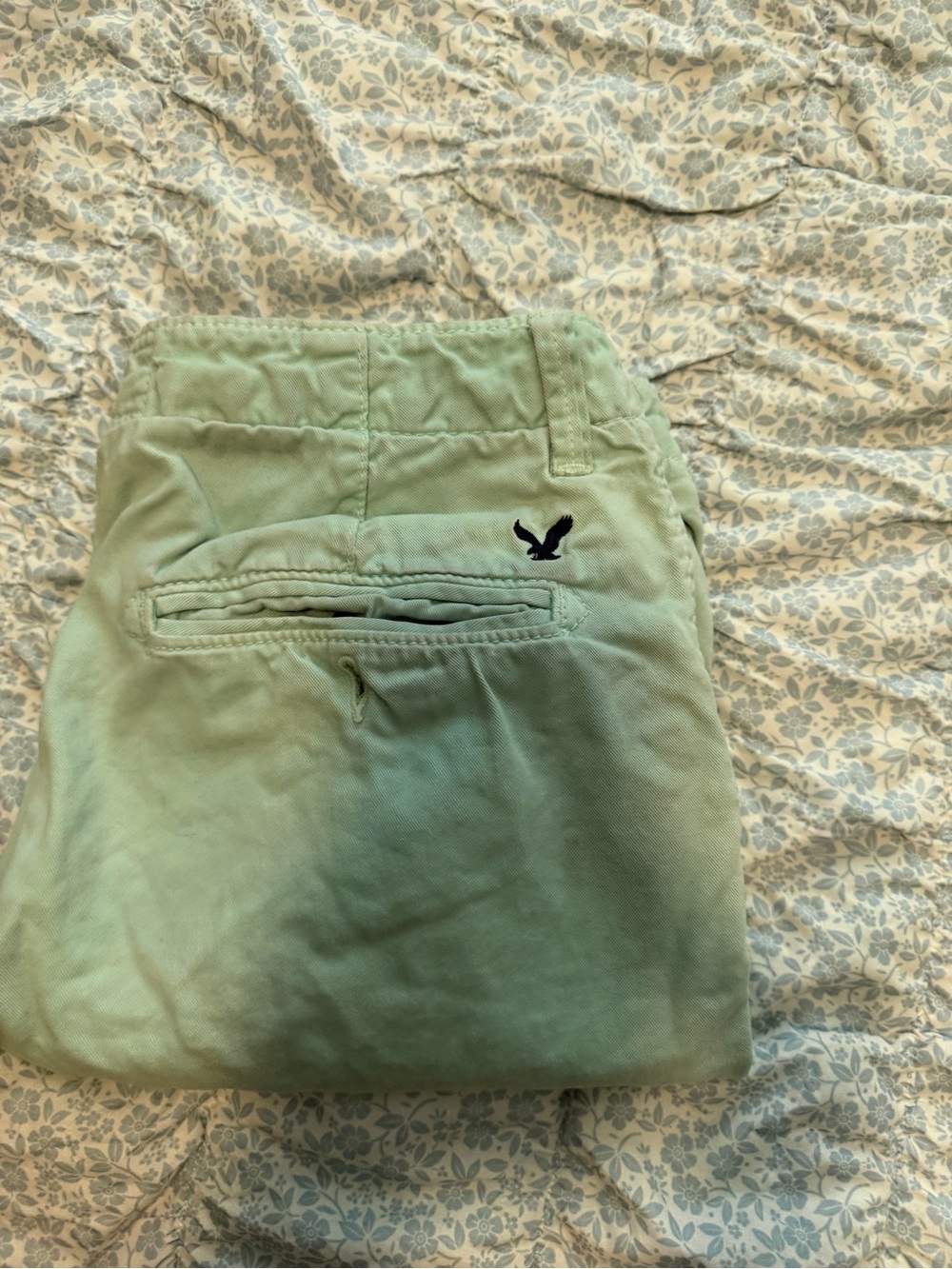 American Eagle Outfitters Mint Green Cargo Shorts with Embroidered Eagle